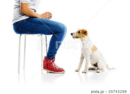 Cute dog with his owner 20743299