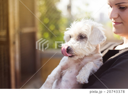 Woman with dog Woman with dog 20743378