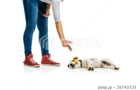 Woman training dog isolated Woman training dog isolated 20743725
