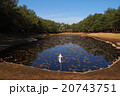 みそぎ池：日本神話に登場するイザナギノミコトが禊を行ったといわれる場所 20743751