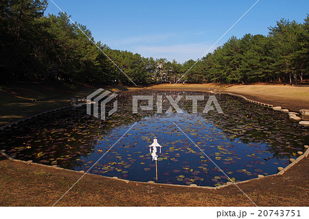 みそぎ池：日本神話に登場するイザナギノミコトが禊を行ったといわれる場所 20743751
