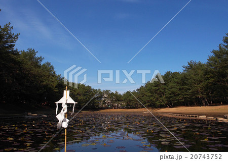 みそぎ池：日本神話に登場するイザナギノミコトが禊を行ったといわれる場所 20743752