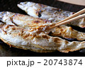 焼き魚　鮎 20743874