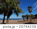宮崎県の白浜海水浴場。青空と南国の木。 20744238