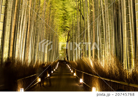 竹林の道 - 嵐山花灯路 竹林の道 - 嵐山花灯路 20745768
