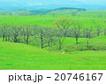 久住高原 20746167