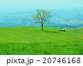 久住高原 20746168