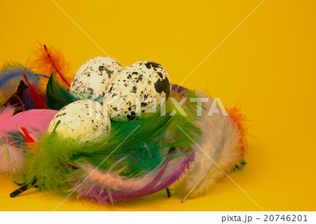 Easter eggs in a colorful nest on isolated yellow 20746201