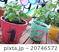 プランター 20746572