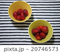 いちご 20746573