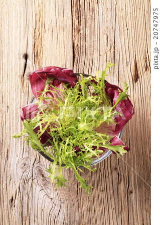 Salad greens 20747975