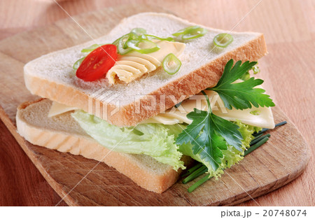 Cheese sandwich Cheese sandwich 20748074