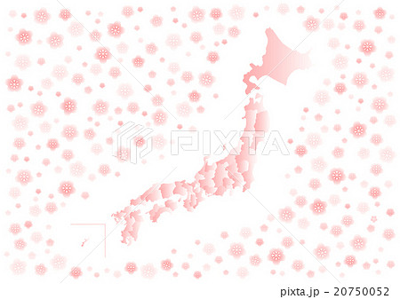 日本地図 桜背景 イメージ イラストのイラスト素材