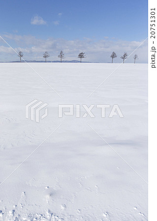 雪の丘 20751301