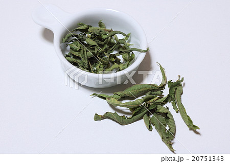 レモンバーベナ 20751343