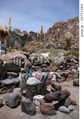 サボテン島でランチ 20751364