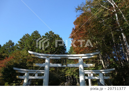 奥秩父　三峯神社　三ツ鳥居　紅葉　青空　４ 20751377