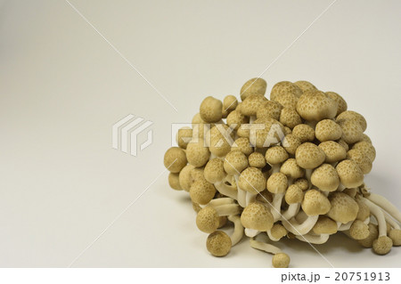 植物、食用、キノコ、ブナシメジ、キシメジ科、食材、栽培キノコ、栄養食材、グルタミン酸、うまみ成分、マ 20751913