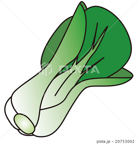野菜 20753002