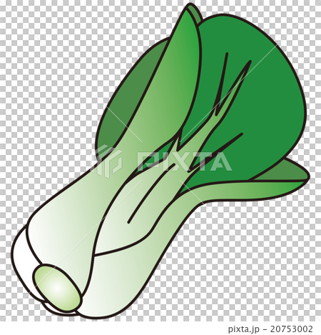 Vegetables 20753002