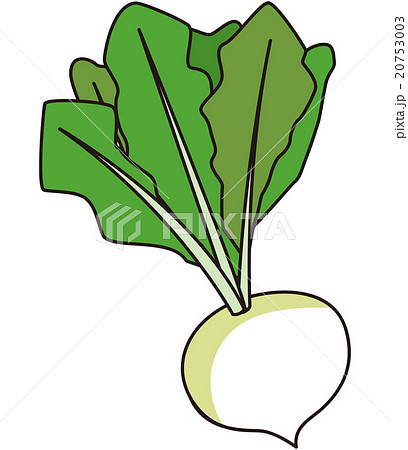野菜 20753003