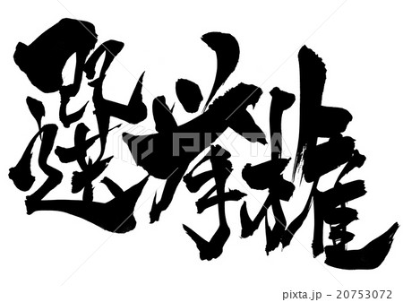 選挙権・・・文字 20753072