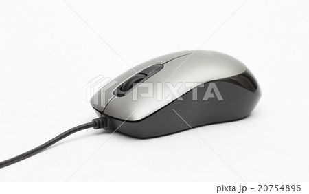 mouse on the white background 20754896