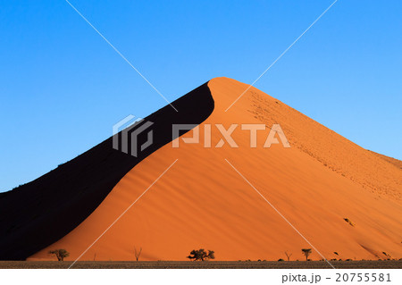 Dune 45 20755581