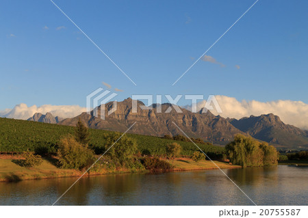 Stellenbosch 20755587