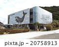 くじらの博物館（和歌山県太地町） 20758913