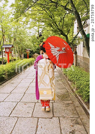京都 舞妓さん 女性の着物姿 着物後ろ姿 傘を持つ女性の写真素材