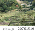 日本の原風景 20761519