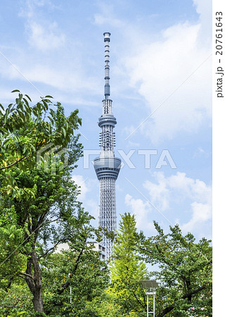 錦糸公園から望む東京スカイツリー 20761643