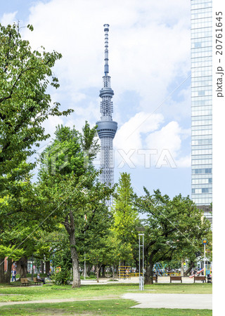 錦糸公園 錦糸公園 20761645