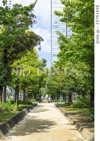 錦糸公園 20761646