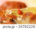 ダンゴウオ　幼魚 20762226