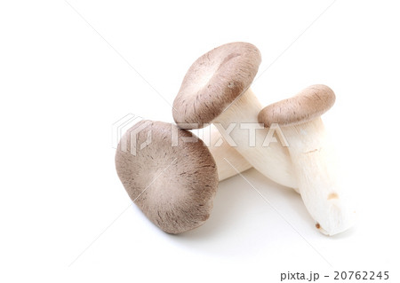 食材きのこエリンギ 食材きのこエリンギ 20762245