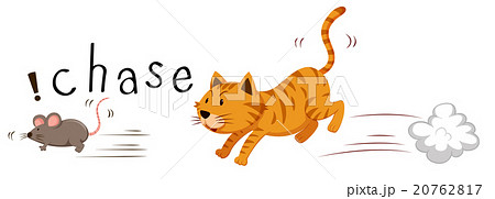Ginger cat chasing a mouse Ginger cat chasing a mouse 20762817