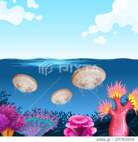 Jellyfish swimming in the ocean Jellyfish swimming in the ocean 20763058