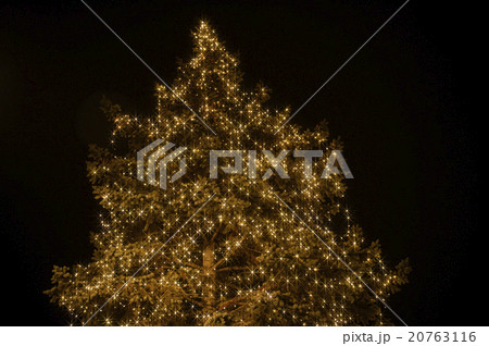 クリスマスツリーのイルミネーション クリスマスツリーのイルミネーション 20763116