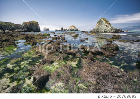 Big Sur Beach 20763695