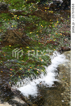 白川水源 白川水源 20764668