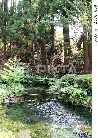 白川水源 白川水源 20764669