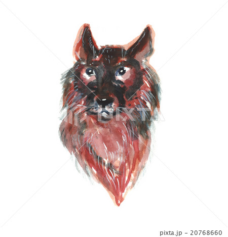 Watercolor portrait of German shepherd dog Watercolor portrait of German shepherd dog 20768660