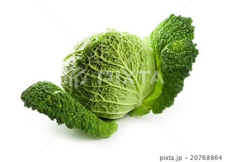 fresh savoy cabbage 20768864