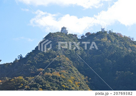 金華山･岐阜城（岐阜県岐阜市） 20769382