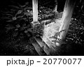 Horror scene of a scary woman 20770077