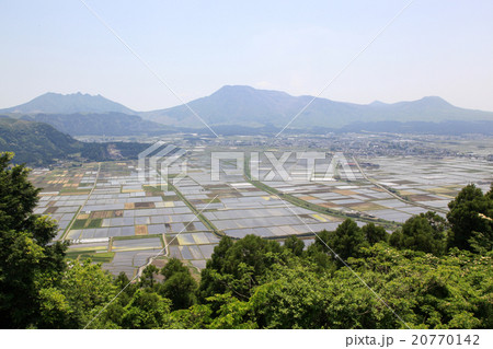 大観峰 大観峰 20770142