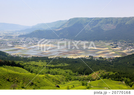 大観峰 大観峰 20770168