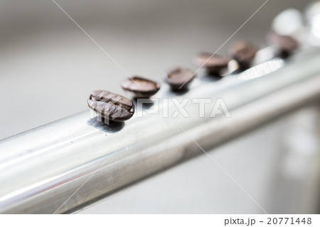 Coffee series : coffee beans on stainless beam Coffee series : coffee beans on stainless beam 20771448